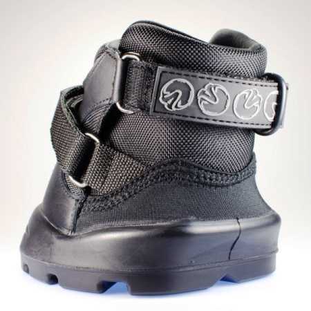 Preview: Easyboot Transition hat viele Vorteile