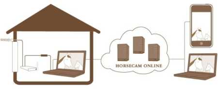 horseCam Set