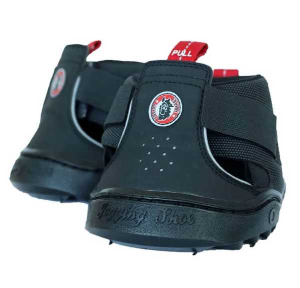 Equine Fusion Jogging Shoe Trekking - Slim